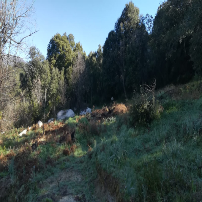 Offres de vente Terrain Forciolo (20190)
