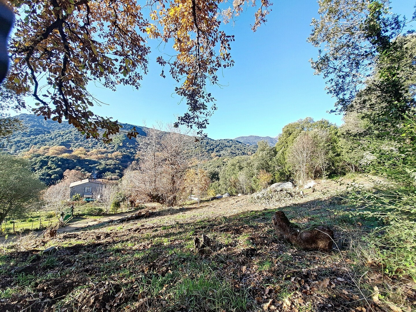 Vente CORSE DU SUD / PIEVE DI L'ORNANU VILLAGE DE FORCIOLO 40 KMS D