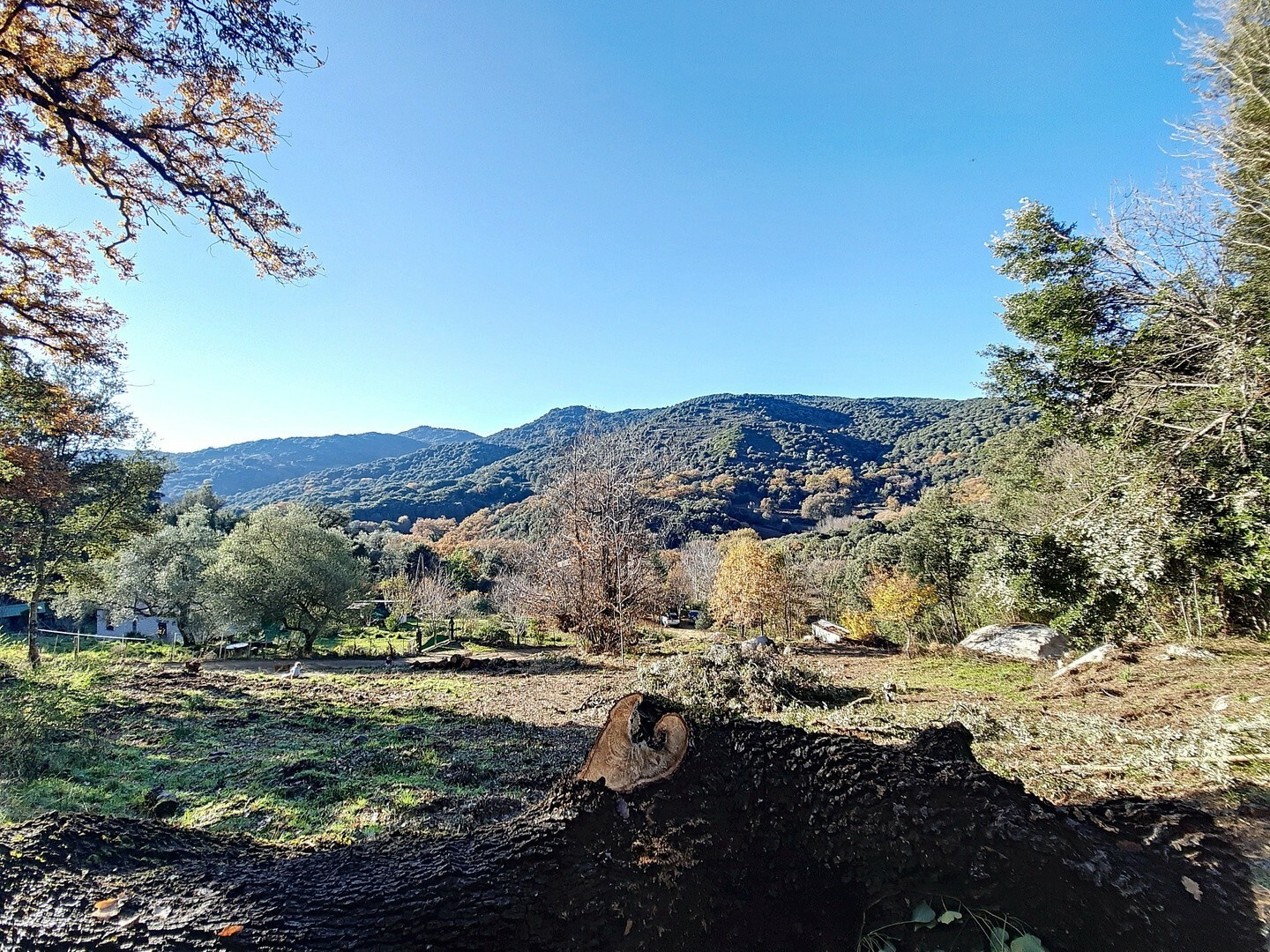 Vente CORSE DU SUD / PIEVE DI L'ORNANU VILLAGE DE FORCIOLO 40 KMS D